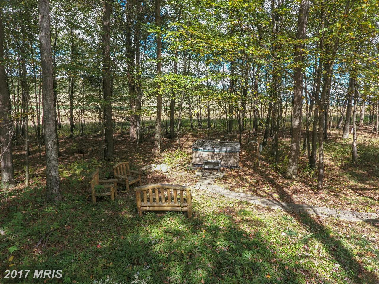 100 DEER CREST LANE, Swanton, 21561 Railey Realty